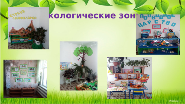 Экологические зоны 