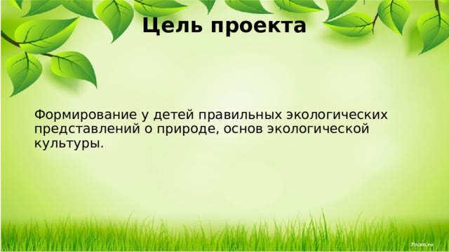 Цель проекта   Формирование у детей правильных экологических представлений о природе, основ экологической культуры. 
