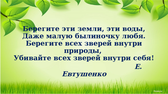  Берегите эти земли, эти воды,  Даже малую былиночку любя.  Берегите всех зверей внутри природы,   Убивайте всех зверей внутри себя!  Е. Евтушенко 