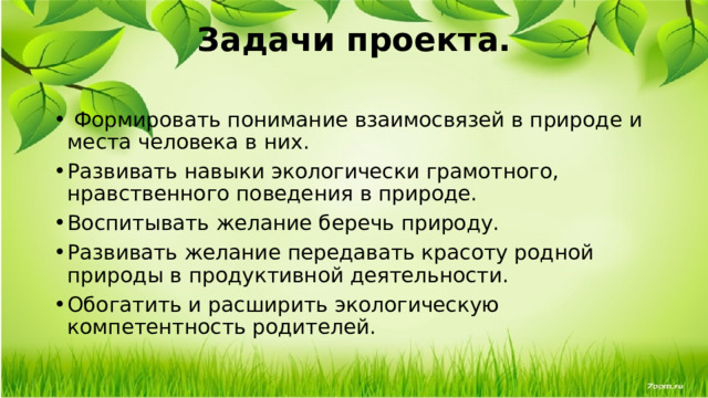 Задачи проекта.     Формировать понимание взаимосвязей в природе и места человека в них. Развивать навыки экологически грамотного, нравственного поведения в природе. Воспитывать желание беречь природу. Развивать желание передавать красоту родной природы в продуктивной деятельности. Обогатить и расширить экологическую компетентность родителей. 
