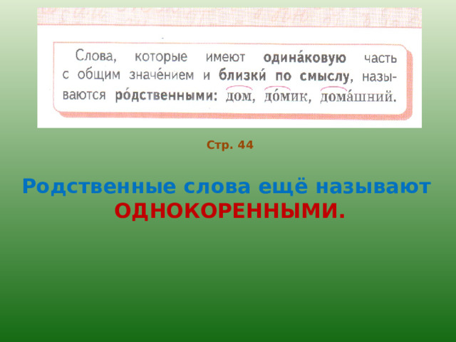 Стр. 44 Родственные слова ещё называют ОДНОКОРЕННЫМИ. 