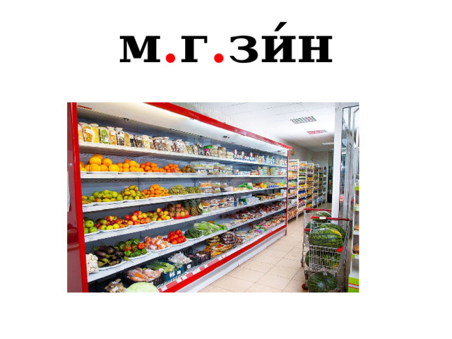 м . г . зи́н 