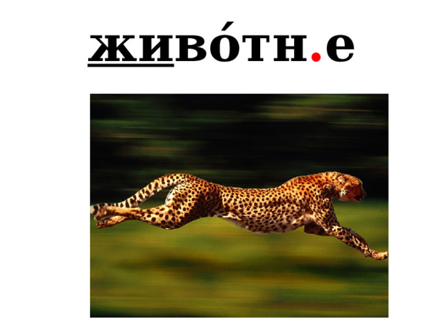жи во́тн . е 