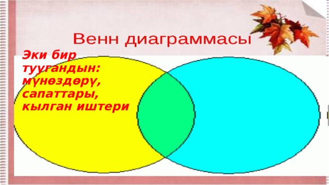 Эки бир туугандын:  мүнөздөрү,  сапаттары,  кылган иштери 