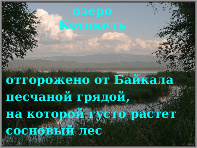 озеро Котокель отгорожено от Байкала песчаной грядой, на которой густо растет сосновый лес 