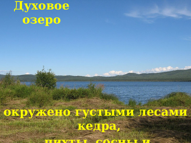 Духовое озеро окружено густыми лесами кедра,  пихты, сосны и лиственницы 