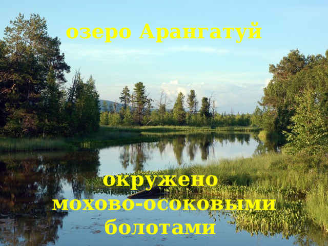озеро Арангатуй окружено мохово-осоковыми болотами с многочисленными мочажинами 