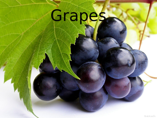 Grapes 