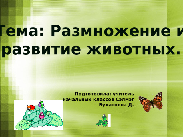 Тема: Размножение и развитие животных. Подготовила: учитель начальных классов Сэлмэг Булатовна Д. 