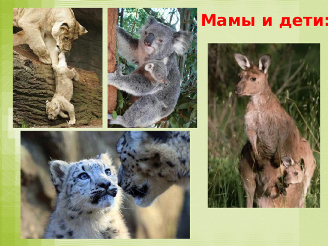 Мамы и дети: 