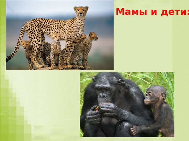 Мамы и дети: 