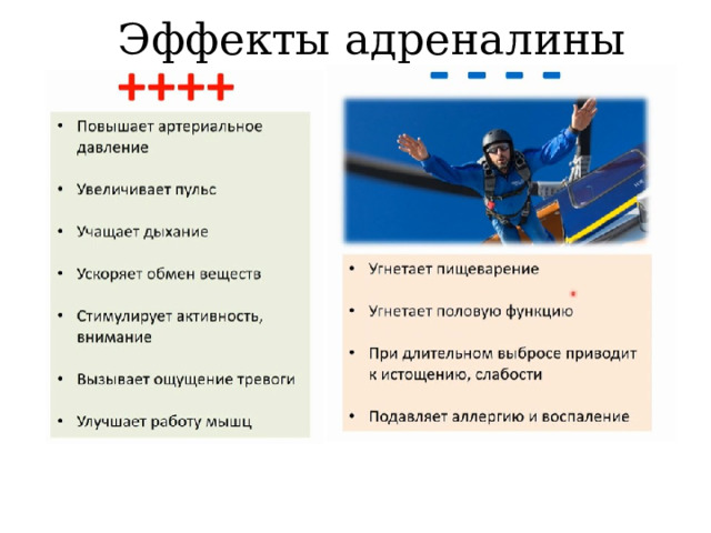 Эффекты адреналины 