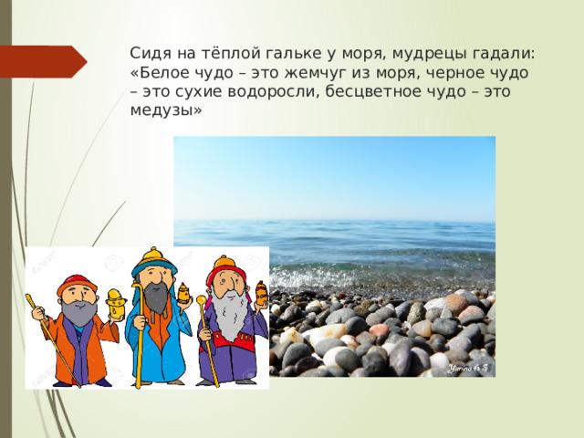 Сидя на тёплой гальке у моря, мудрецы гадали: «Белое чудо – это жемчуг из моря, черное чудо – это сухие водоросли, бесцветное чудо – это медузы» 