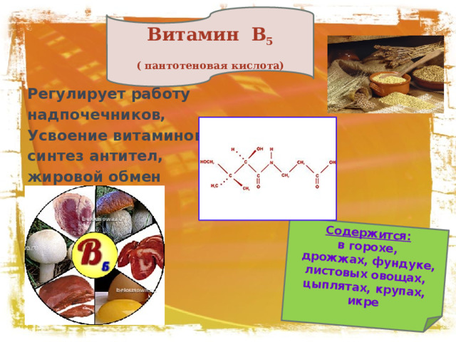 Содержится: в горохе,  дрожжах, фундуке, листовых овощах, цыплятах, крупах, икре Витамин В 5 ( пантотеновая кислота) Регулирует работу надпочечников, Усвоение витаминов, синтез антител, жировой обмен 