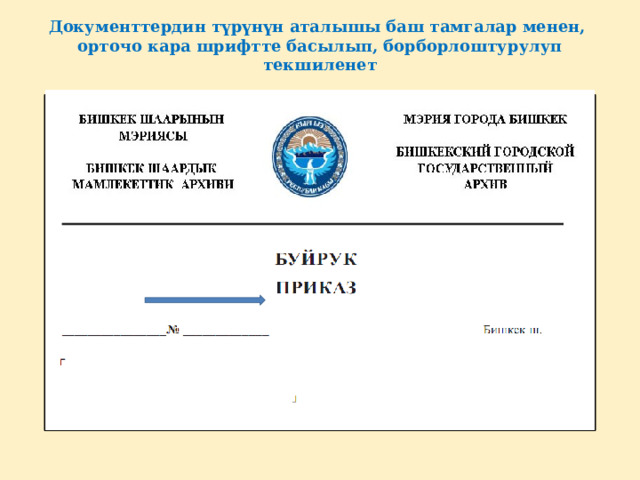 Документтердин түрүнүн аталышы баш тамгалар менен,  орточо кара шрифтте басылып, борборлоштурулуп текшиленет 