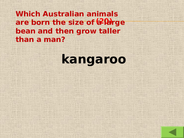  (20) Which Australian animals are born the size of a large bean and then grow taller than a man? kangaroo 