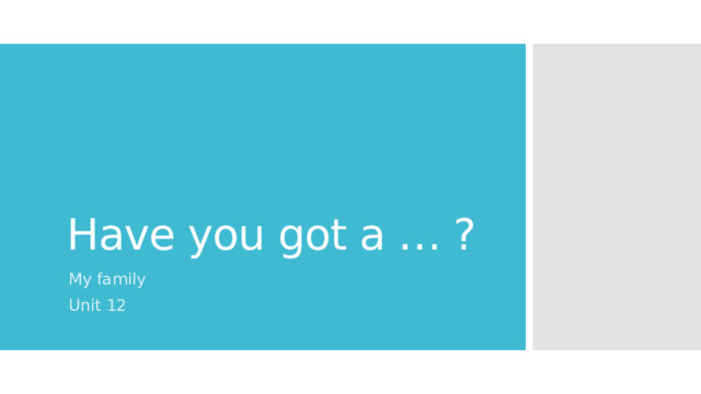 Have you got a … ? My family Unit 12 