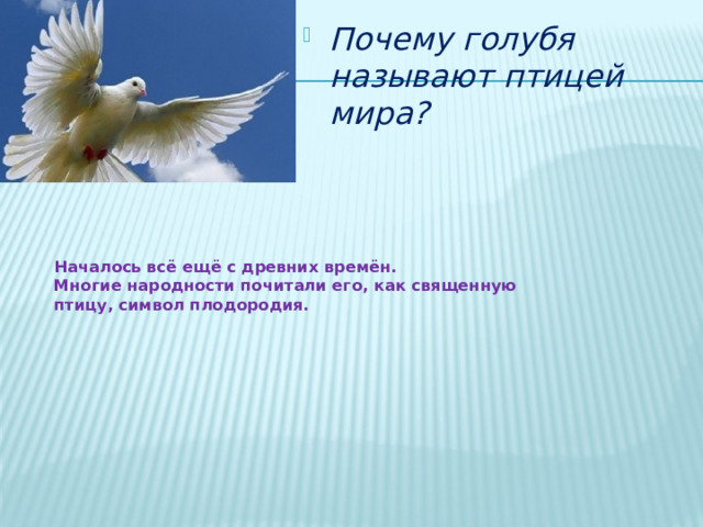 Почему голубя называют птицей мира? Началось всё ещё с древних времён.  Многие народности почитали его, как священную птицу, символ плодородия. 