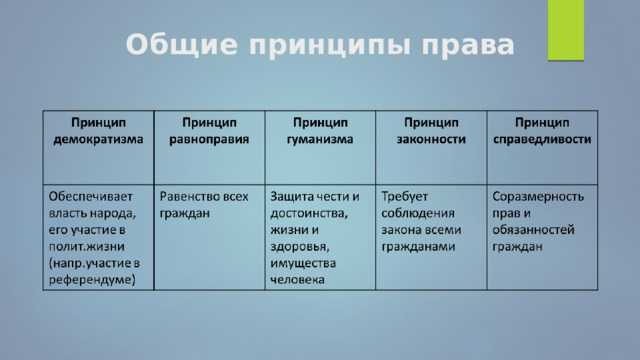 Общие принципы права 