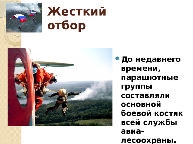 Жесткий отбор      До недавнего времени, парашютные группы составляли основной боевой костяк всей службы авиа-лесоохраны. 