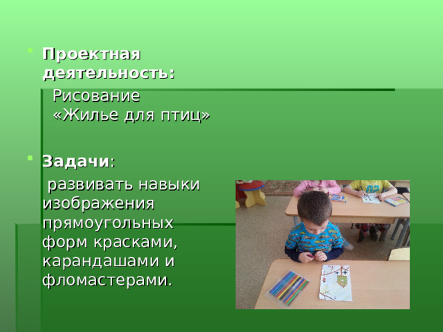 Проектная деятельность:  Рисование «Жилье для птиц»  Задачи :  развивать навыки изображения прямоугольных форм красками, карандашами и фломастерами. 