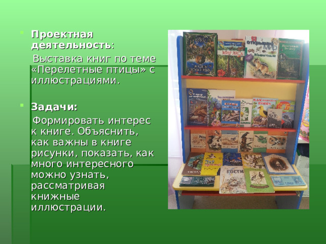 Проектная деятельность :  Выставка книг по теме «Перелетные птицы» с иллюстрациями.  Задачи:  Формировать интерес к книге. Объяснить, как важны в книге рисунки, показать, как много интересного можно узнать, рассматривая книжные иллюстрации. 