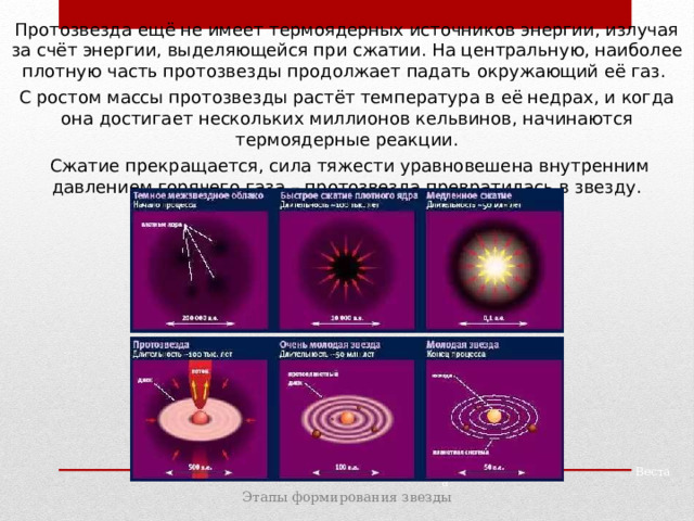 Протозвезда ещё не имеет термоядерных источников энергии, излучая за счёт энергии, выделяющейся при сжатии. На центральную, наиболее плотную часть протозвезды продолжает падать окружающий её газ. С ростом массы протозвезды растёт температура в её недрах, и когда она достигает нескольких миллионов кельвинов, начинаются термоядерные реакции.  Сжатие прекращается, сила тяжести уравновешена внутренним давлением горячего газа – протозвезда превратилась в звезду. Паллада Веста Этапы формирования звезды 