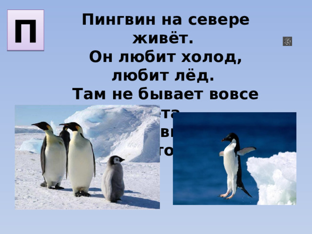 Пингвин на севере живёт. Он любит холод, любит лёд. Там не бывает вовсе лета, И все пингвины знают это. П 