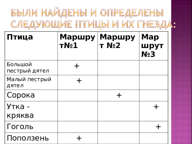 Птица Маршрут№1 Большой пестрый дятел  + Маршрут №2 Малый пестрый дятел Сорока  + Маршрут №3 Утка -кряква  + Гоголь Поползень  +  +  + 