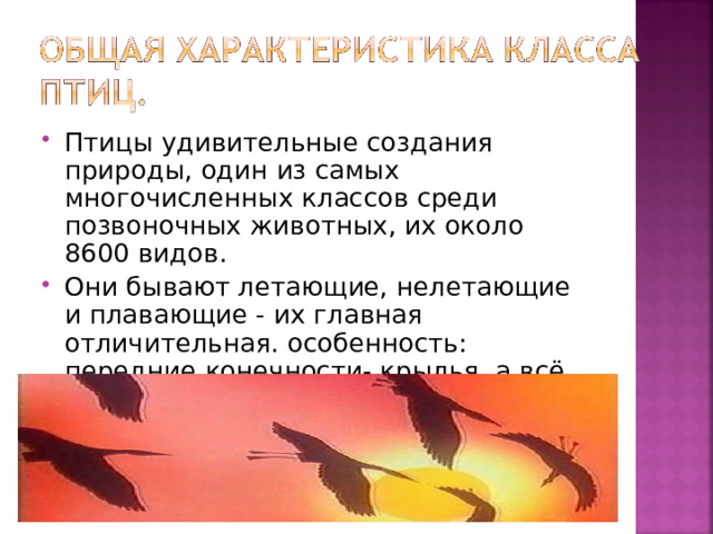 Птицы удивительные создания природы, один из самых многочисленных классов среди позвоночных животных, их около 8600 видов. Они бывают летающие, нелетающие и плавающие - их главная отличительная. особенность: передние конечности- крылья, а всё тело покрыто перьями. 