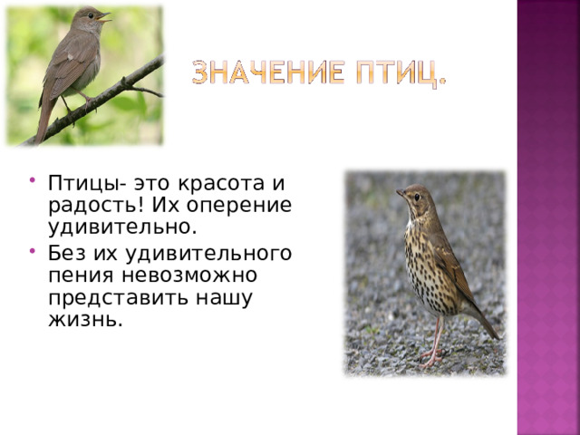 Птицы- это красота и радость! Их оперение удивительно. Без их удивительного пения невозможно представить нашу жизнь. 