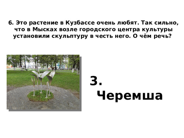6. Это растение в Кузбассе очень любят. Так сильно, что в Мысках возле городского центра культуры установили скульптуру в честь него. О чём речь?    3. Черемша 