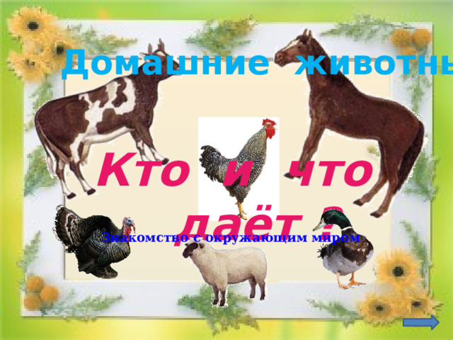 Домашние животные. Кто и что  даёт ? Знакомство с окружающим миром   