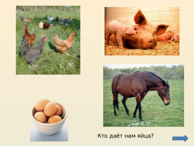 Кто даёт нам яйца? 