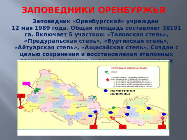 Заповедники Оренбуржья Заповедник «Оренбургский» учрежден  12 мая 1989 года. Общая площадь составляет 38191 га. Включает 5 участков: «Таловская степь», «Предуральская степь», «Буртинская степь», «Айтуарская степь», «Ащисайская степь». Создан с целью сохранения и восстановления эталонных равнинных, холмисто-увалистых и низкогорных степей.  
