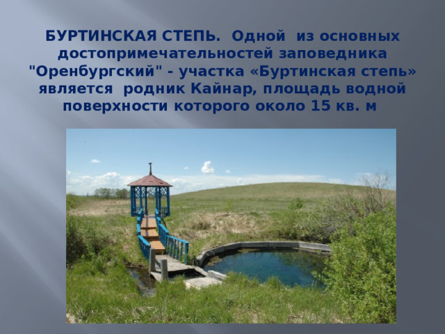 БУРТИНСКАЯ СТЕПЬ. Одной из основных достопримечательностей заповедника 