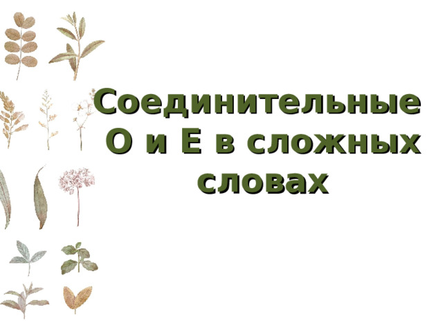 Соединительные  О и Е в сложных словах 