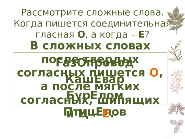  Рассмотрите сложные слова. Когда пишется соединительная гласная О , а когда – Е ? В сложных словах после твердых согласных пишется О , а после мягких согласных, шипящих и Ц – Е . ГазОпровод КашЕвар БурЕлом ПтицЕлов 