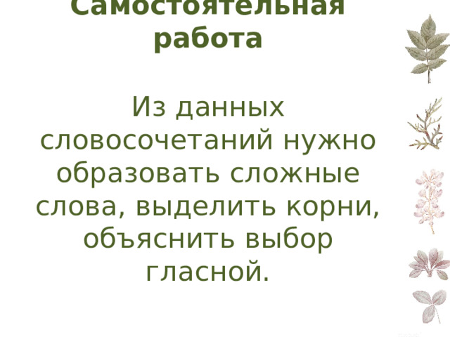 Самостоятельная работа    Из данных словосочетаний нужно образовать сложные слова, выделить корни, объяснить выбор гласной. 