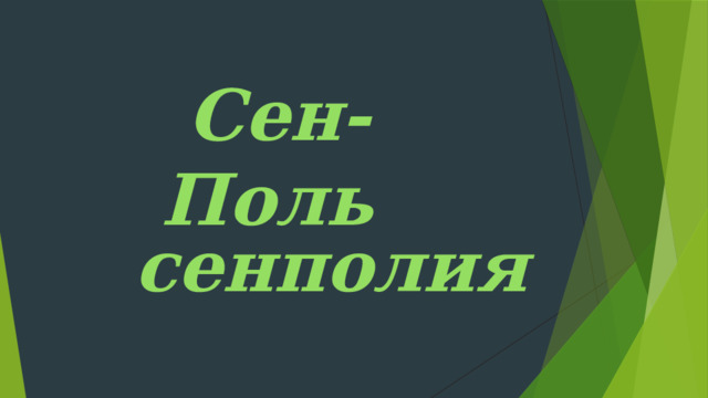 Сен-Поль  сенполия 