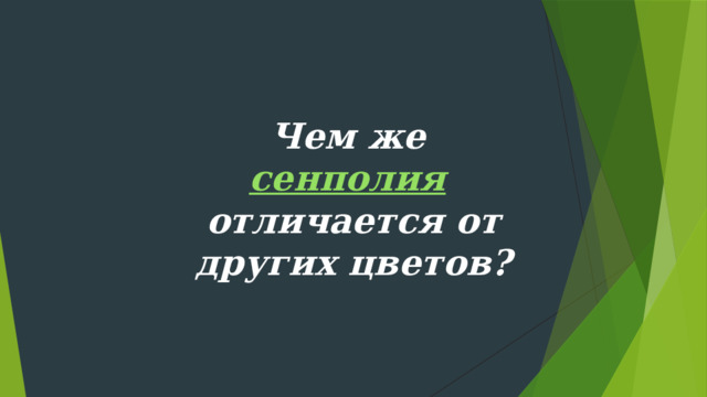 Чем же сенполия  отличается от других цветов? 