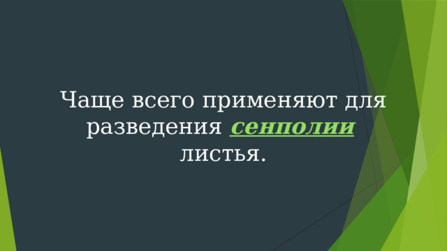 Чаще всего применяют для разведения сенполии  листья. 