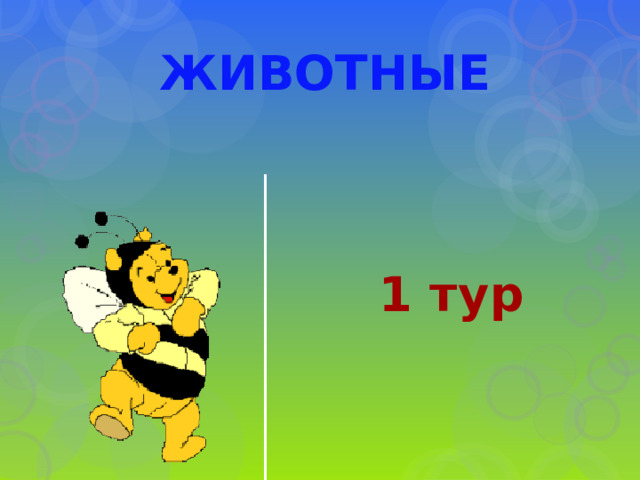 ЖИВОТНЫЕ 1 тур 