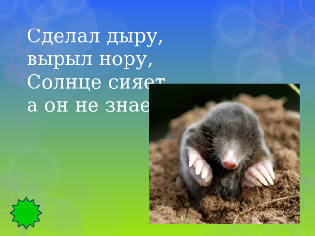 Сделал дыру, вырыл нору, Солнце сияет, а он не знает. 