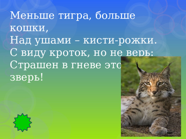 Меньше тигра, больше кошки, Над ушами – кисти-рожки. С виду кроток, но не верь: Страшен в гневе этот зверь! 