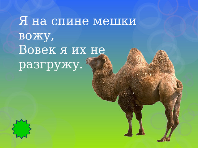 Я на спине мешки вожу, Вовек я их не разгружу. 