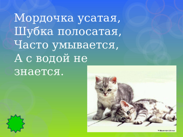 Мордочка усатая, Шубка полосатая, Часто умывается, А с водой не знается. 