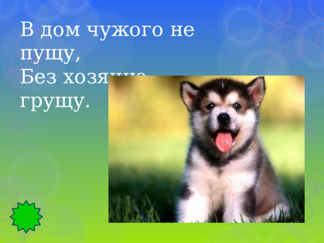 В дом чужого не пущу, Без хозяина грущу. 