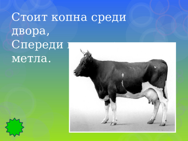 Стоит копна среди двора, Спереди вилы, сзади метла. 
