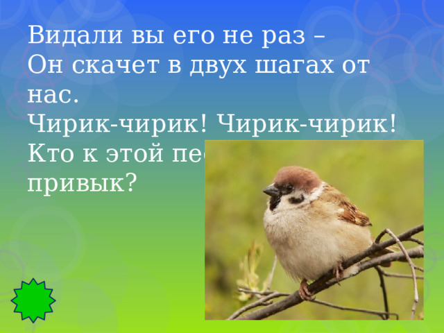 Видали вы его не раз – Он скачет в двух шагах от нас. Чирик-чирик! Чирик-чирик! Кто к этой песне не привык? 